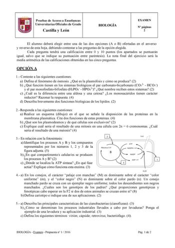 Pruebas de Acceso a Enseñanzas Universitarias Oficiales de Grado Castilla y León BIOLOGÍA EXAMEN N páginas 2 El alumno deberá elegir entre una de las dos opciones A o B ofertadas en el anverso y reverso de esta hoja debiendo contestar a las preguntas de la opción elegida Cada pregunta tendrá una calificación entre 0 y 10 puntos los apartados se puntuarán igual salvo que se indique su puntuación entre paréntesis La nota final del ejercicio será la media aritmética de las calificaciones obtenidas…