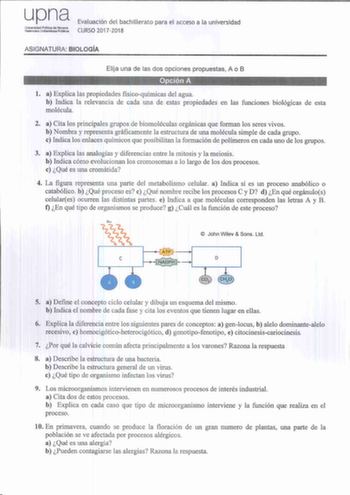 upna uriversidad Plbfica de Navarra Nafar08ko Uribertsitala Pu1kaa Evaluación del bachillerato para el acceso a la universidad CURSO 20172018 ASIGNATURA BIOLOGÍA Elija una de las dos opciones propuestas A o B Opción A l a Explica las propiedades físicoquímicas del agua b Indica la relevancia de cada una de estas propiedades en las funciones biológicas de esta molécula 2 a Cita los principales grupos de biomoléculas orgánicas que forman los seres vivos b Nombra y representa gráficamente la estru…