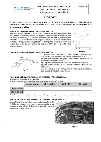 Proba de Avaliación do Bacharelato para o Acceso á Universidade Convocatoria ordinaria 2023 Código 21 BIOLOXÍA O exame consta de 8 preguntas de 2 puntos das que poderá respostar un MÁXIMO DE 5 combinadas como queira Se responde mais preguntas das permitidas só se corrixirán as 5 primeiras respondidas PREGUNTA 1 A BASE MOLECULAR E FISÍCOQUÍMICA DA VIDA Na gráfica de cinética encimática que se amosa na figura 1 represéntase a velocidade de reacción dun encima eixo vertical con respecto á concentr…