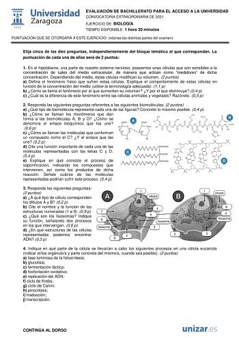 EVALUACIÓN DE BACHILLERATO PARA EL ACCESO A LA UNIVERSIDAD CONVOCATORIA EXTRAORDINARIA DE 2021 EJERCICIO DE BIOLOGÍA TIEMPO DISPONIBLE 1 hora 30 minutos PUNTUACIÓN QUE SE OTORGARÁ A ESTE EJERCICIO véanse las distintas partes del examen Elija cinco de las diez preguntas independientemente del bloque temático al que correspondan La puntuación de cada una de ellas será de 2 puntos 1 En el hipotálamo una parte de nuestro sistema nervioso poseemos unas células que son sensibles a la concentración de…