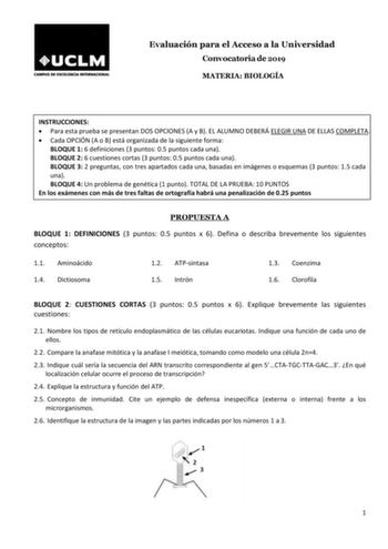 Evaluación para el Acceso a la Universidad Convocatoria de 2019 MATERIA BIOLOGÍA INSTRUCCIONES  Para esta prueba se presentan DOS OPCIONES A y B EL ALUMNO DEBERÁ ELEGIR UNA DE ELLAS COMPLETA  Cada OPCIÓN A o B está organizada de la siguiente forma BLOQUE 1 6 definiciones 3 puntos 05 puntos cada una BLOQUE 2 6 cuestiones cortas 3 puntos 05 puntos cada una BLOQUE 3 2 preguntas con tres apartados cada una basadas en imágenes o esquemas 3 puntos 15 cada una BLOQUE 4 Un problema de genética 1 punto …