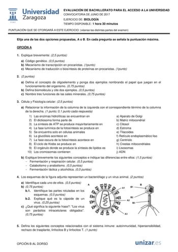  fil 1S42 Universidad Zaragoza EVALUACIÓN DE BACHILLERATO PARA EL ACCESO A LA UNIVERSIDAD CONVOCATORIA DE JUNIO DE 2017 EJERCICIO DE BIOLOGÍA TIEMPO DISPONIBLE 1 hora 30 minutos PUNTUACIÓN QUE SE OTORGARÁ A ESTE EJERCICIO véanse las distintas partes del examen Elija una de las dos opciones propuestas A o B En cada pregunta se señala la puntuación máxima OPCIÓN A 1 Explique brevemente 25 puntos a Código genético 05 puntos b Mecanismo de transcripción en procariotas 1punto c Mecanismo de traducci…