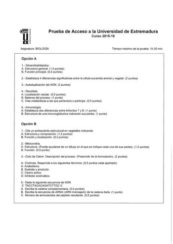 u 1 EXJ Prueba de Acceso a la Universidad de Extremadura Curso 201516 Asignatura BIOLOGÍA Tiempo máximo de la prueba 1h30 min Opción A 1 Glicerofosfolípidos A Estructura general 15 puntos B Función principal 05 puntos 2 Establezca 4 diferencias sígnifícativas entre la célula eucariota animal y vegetal 2 puntos 3 Autoduplicación del ADN 2 puntos 4 Glucólísis A Localización celular 05 puntos B Balance del proceso 1 punto C Vías metabólicas a las que pertenece o participa 05 puntos 5 Inmunología A…