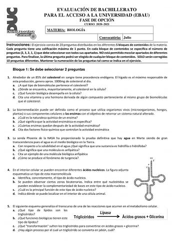 EVALUACIÓN DE BACHILLERATO PARA EL ACCESO A LA UNIVERSIDAD EBAU FASE DE OPCIÓN CURSO 20202021 MATERIA BIOLOGÍA Convocatória Julio Instrucciones El ejercicio consta de 20 preguntas distribuidas en los diferentes 5 bloques de contenidos de la materia Cada pregunta tiene una calificación máxima de 1 punto En cada bloque de contenidos se especifica el número de preguntas 2 3 2 1 1 que debe seleccionar con todos sus apartados NO está permitido mezclar apartados de diferentes preguntas Para finalizar…