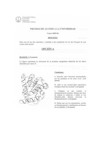 PRUEBAS DE ACCESO A LA UNIVERSIDAD Curso 200506 BIOLOGÍA Elija una de las dos opciones y conteste a las cuestiones de los dos bloques de que consta cada opción OPCIÓN A BLOQUE 1 5 puntos La figura representa la estructura de la proteína mioglobina deducida de los datos obtenidos por rayos X Cuestiones a Describa cinco funciones desempeñadas por las proteínas en los seres vivos 125 puntos b Qué es una enzimaQué importancia biológica tienen las enzimas 125 puntos c Explique en qué consiste la des…