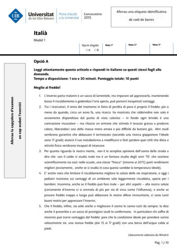 Examen de Italiano (PAU de 2015)