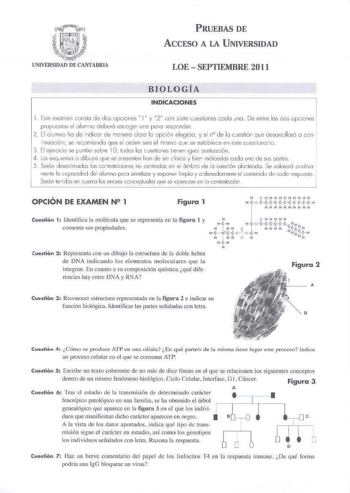 PRUEBAS DE ACCESO A LA UNIVERSIDAD LOE  SEPTIEMBRE 2011 BIOLOGÍA INDICACIONES 1 EstA exorren conslú de des úpciones NI y 2  con sefe cJestiones ceda une  De entre las dos opciones propuestos el o lurrn0 deberá esc0ge1uno pa1O espcnder 2 El acmno ho d e indicar de manera cbrá lo o pció n elegijO y e l n d e lo cuesti6r que deso1ro llo r6 o con tinuadóo se recomienda que el orden seo el mismc qve se eslcblece en este cvesion1rio 3 El ejercicio se puntúo scbre l O ledos los uesliones lie ner1 iguo…