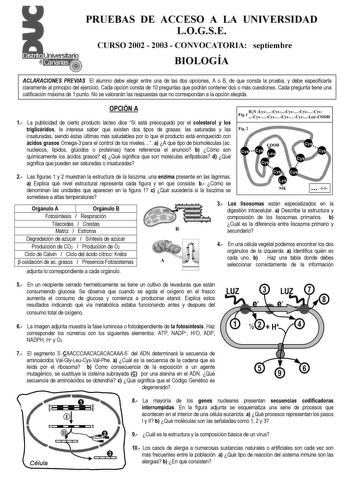 PRUEBAS DE ACCESO A LA UNIVERSIDAD LOGSE CURSO 2002  2003  CONVOCATORIA septiembre BIOLOGÍA ACLARACIONES PREVIAS El alumno debe elegir entre una de las dos opciones A o B de que consta la prueba y debe especificarla claramente al principio del ejercicio Cada opción consta de 10 preguntas que podrán contener dos o más cuestiones Cada pregunta tiene una calificación máxima de 1 punto No se valorarán las respuestas que no correspondan a la opción elegida OPCIÓN A 1 La publicidad de cierto producto…