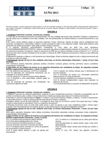 CiUG COMIS IÓN INTERUNIVERS ITARIA DE GA LI C IA PAU XUÑO 2013 Código 21 BIOLOXÍA Estrutura da proba a proba componse de dúas opcións A e B Só se poderá contestar a unha das dúas opcións desenvolvendo integramente o seu contido Puntuación a cualificación máxima total será de 10 puntos estando indicada en cada cuestión a súa puntuación parcial Tempo 1 hora e 30 minutos OPCIÓN A 1 Cuestións Valoración 8 puntos 2 puntos por cuestión 1 A que tipo de biomoléculas pertencen os polisacáridos Por que u…