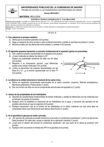 00 UNIVERSIDAD AlITONOMA  lilDlilil UNIVERSIDADES PÚBLICAS DE LA COMUNIDAD DE MADRID PRUEBA DE ACCESO A LAS ENSEÑANZAS UNIVERSITARIAS DE GRADO Curso 20102011 MATERIA BIOLOGÍA INSTRUCCIONES GENERALES Y VALORACIÓN Estructura de la prueba la prueba se compone de dos opciones A y B cada una de las cuales consta de 5 preguntas que a su vez comprenden varias cuestiones Sólo se podrá contestar una de las dos opciones desarrollando íntegramente su contenido En el caso de mezclar preguntas de ambas opci…