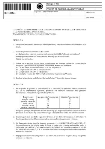 11 1111 1 111 111 111 11 11 0310014  Biología FG PRUEBA DE ACCESO A LA UNIVERSIDAD Septiembre  2013 Duración 90min 1 1 MODELO 15 Hoja 1 de 1 ATENCIÓN EL ALUMNO DEBE ELEGIR ENTRE UNA DE LAS DOS OPCIONES A O B Y CONTESTAR A LAS PREGUNTAS DE LA OPCIÓN ELEGIDA CADA PREGUNTA TIENE UNA PUNTUACIÓN DE 25 PUNTOS MODELO A 1 Dibuje una mitocondria identifique sus componentes y comente la función que desempeña en la célula 2 Dado el siguiente cruzamiento AaBb x aabb a Qué genotipos esperaría encontrar en l…