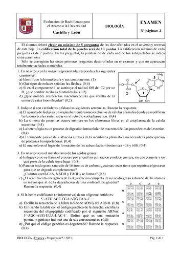 Evaluación de Bachillerato para el Acceso a la Universidad Castilla y León BIOLOGÍA EXAMEN N páginas 2 El alumno deberá elegir un máximo de 5 preguntas de las diez ofertadas en el anverso y reverso de esta hoja La calificación total de la prueba será de 10 puntos La calificación máxima de cada pregunta es de 2 puntos En las preguntas la puntuación de cada uno de los subapartados se indica entre paréntesis Sólo se corregirán las cinco primeras preguntas desarrolladas en el examen y que no aparez…