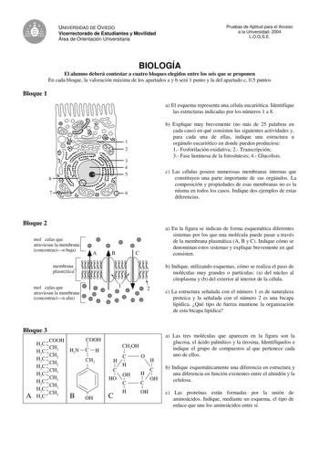 e UNIVERSIDAD DE OVIEDO Vicerrectorado de Estudiantes y Movilidad Área de Orientación Universitaria Pruebas de Aptitud para el Acceso a la Universidad 2004 LOGSE BIOLOGÍA El alumno deberá contestar a cuatro bloques elegidos entre los seis que se proponen En cada bloque la valoración máxima de los apartados a y b será 1 punto y la del apartado c 05 puntos Bloque 1 a El esquema representa una célula eucariótica Identifique las estructuras indicadas por los números 1 a 8 b Explique muy brevemente …