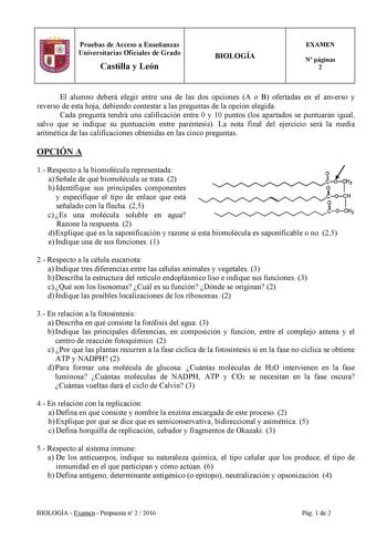 Pruebas de Acceso a Enseñanzas Universitarias Oficiales de Grado Castilla y León BIOLOGÍA EXAMEN N páginas 2 El alumno deberá elegir entre una de las dos opciones A o B ofertadas en el anverso y reverso de esta hoja debiendo contestar a las preguntas de la opción elegida Cada pregunta tendrá una calificación entre 0 y 10 puntos los apartados se puntuarán igual salvo que se indique su puntuación entre paréntesis La nota final del ejercicio será la media aritmética de las calificaciones obtenidas…