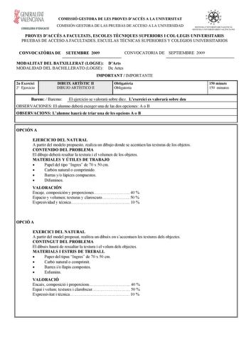 Examen de Dibujo Artístico II (selectividad de 2009)