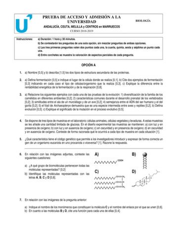 PRUEBA DE ACCESO Y ADMISIÓN A LA UNIVERSIDAD ANDALUCÍA CEUTA MELILLA y CENTROS en MARRUECOS CURSO 20182019 BIOLOGÍA Instrucciones a Duración 1 hora y 30 minutos b Se contestarán las preguntas de una sola opción sin mezclar preguntas de ambas opciones c Las tres primeras preguntas valen dos puntos cada una la cuarta quinta sexta y séptima un punto cada una d Entre corchetes se muestra la valoración de aspectos parciales de cada pregunta OPCIÓN A 1 a Nombre 05 y b describa 15 los dos tipos de est…