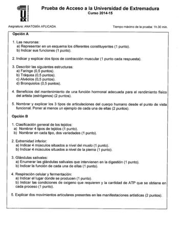 uu i UI EXi Prueba de Acceso a la Universidad de Extremadura Curso 201415 Asignatura ANATOMIAAPLICADA Tiempo máximo de la prueba 1h30 min Opción A 1 Las neuronas a Representar en un esquema los diferentes constituyentes 1 punto b Indicar sus funciones 1 punto 2 Indicar y explicar dos tipos de contracción muscular 1 punto cada respuesta 3 Describir las siguientes estructuras a Faringe 05 puntos b Tráquea 05 puntos c Alvéolos 05 puntos d Bronquiolos 05 puntos 4 Beneficios del mantenimiento de una…