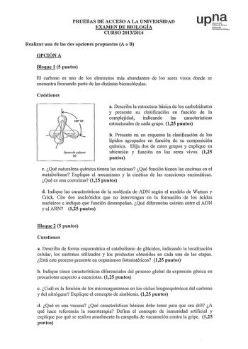 PRUEBAS DE ACCESO A LA UNIVERSIDAD EXAMEN DE BIOLOGÍA CURSO 20132014 Nfum11o UCrtittPWi Realizar una de las dos opciones propuestas A o B OPCIÓN A Bloque 1 5 puntos El carbono es uno de los elementos más abundantes de los seres vivos donde se encuentra formando parte de las distintas biomoléculas Cuestiones a Describa la estructura básica de los carbohidratos y presente su clasificación en función de la complejidad indicando las características estructurales de cada grupo 125 puntos Átomo do ca…