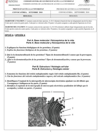 Examen de Biología (PAU de 2010)