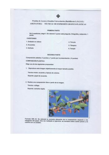 Pruebas de Acceso a Estudios Universitarios Bachillerato LOGSE ASIGNATURA TÉCNlCAS DE EXPRESIÓN GRÁFICOPLÁSTICAS PRIMERA PARTE De 6 cuestiones punto elegir 3 Se valorará 1 punto cada pregunta Ortografia y redacción 1 CUESTIONES 1 Grabado en relieve 2 Acuarelas 3 Gofrado 4 Tórculo 5 Témpera 6 Temple SEGUNDA PARTE Composición plástica 5 puntos y 1 punto por la presentación  6 puntos COMPOSICIÓN PLÁSTICA Elige una de las siguientes propuestas 1 Reproduce esta imagen objetivamente al mayor tamafto …