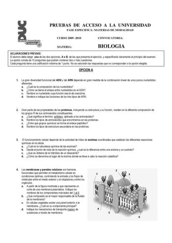 Distrito  r   canarias  PRUEBAS DE ACCESO A LA UNIVERSIDAD FASE ESPECIFICA MATERIAS DE MODALIDAD CURSO 2009 2010 MATERIA CONVOCATORIA BIOLOGIA ACLARACIONES PREVIAS El alumno debe elegir una de las dos opciones A o B de las que presenta el ejercicio y especificarla claramente al principio del examen La opción consta de 10 preguntas que podrán contener dos o más cuestiones Cada pregunta tiene una calificación máxima de 1 punto No se valorarán las respuestas que no correspondan a la opción elegida…