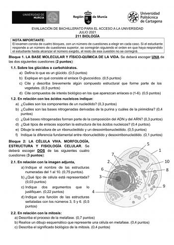 EVALUACIÓN DE BACHILLERATO PARA EL ACCESO A LA UNIVERSIDAD JULIO 2021 211 BIOLOGÍA NOTA IMPORTANTE El examen consta de cuatro bloques con un número de cuestiones a elegir en cada caso Si el estudiante responde a un número de cuestiones superior se corregirán siguiendo el orden en que haya respondido el estudiante hasta alcanzar el número exigido el resto de esa cuestión no se corregirá Bloque 1 LA BASE MOLECULAR Y FÍSICOQUÍMICA DE LA VIDA Se deberá escoger UNA de las dos siguientes cuestiones 2…