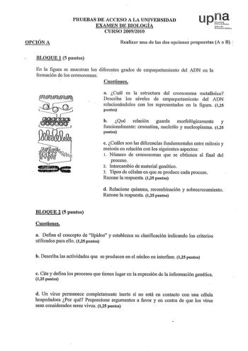 OPCIÓN A PRUEBAS DE ACCESO A LA UNIVERSIDAD EXAMEN DE BIOLOGÍA CURSO 20092010 upJ Nfaroh uxuliaeo fbli01 Realizar una de las dos opciones propuestas A o B BLOQUE 1 5 puntos En la figura se muestran los diferentes grados de empaquetamiento del ADN en la formación de los cromosomas  Cuestiones a Cuál es la estructura del cromosoma metafásico Describa los niveles de empaquetamiento del ADN relacionándolos con los representados en la figura 125 puntos b Qué relación guarda morfológicamente y funcio…