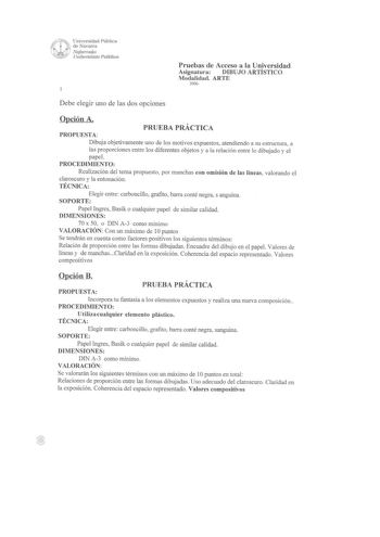 Universidad Pública  ele Navan a Nafa n o o ko QJ  U11ihe1tsotePublikoa Pruebas de Acceso a la Universidad Asignatura DIBUJO ARTÍSTICO Modalidad ARTE 2006 Debe elegir uno de las dos opciones Opción A PROPUESTA PRUEBA PRÁCTICA Dibuja objetivamente uno de los motivos expuestos atendiendo a su estructura a las proporciones entre los diferentes objetos y a la relación entre lo dibujado y el papel PROCEDIMIENTO Realización del tema propuesto por manchas con omisión de las líneas valorando el clarosc…