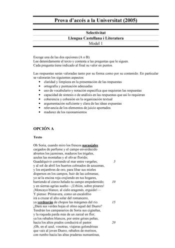 Examen de Lengua Castellana y Literatura (selectividad de 2005)