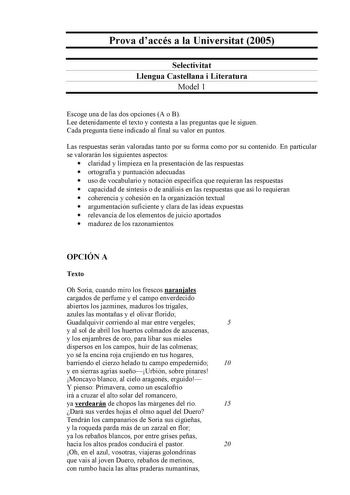 Examen de Lengua Castellana y Literatura (selectividad de 2005)