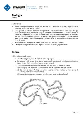 Universitat Prava daccés Convocatria de les Illes Balears a la Universitat 2015 Biologia Model 1 Instruccions 1 De les dues opcions que us proposam triaune una i responeu de manera específica a les qestions formulades a lopció triada 2 Cada qestió es valorar de forma independent i ser qualificada de zero 0 a dos 2 punts Les respostes que no corresponguin a les qestions formulades a lopció triada no es valoraran Una proporció fins a 025 punts de la puntuació de cada pregunta es reservar per als …