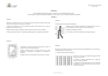 U IVfR IDAD r IEDO Pruebas de Acceso a la Universidad Curso 20122013 BIOLOGÍA Ella estudiante deberá elegir una opción y contestar a las cuatro unidades propuestas en ella En cada unidad la valoración máxima de los apartados a y b será 1 punto y la del c 05 puntos redondeo a la milésima OPCIÓN A UNIDAD 1 UNIDAD 3 Sabiendo que cuadrado representa varón círculo representa mujer fondo blanco la condición normal fondo oscuro un carácter anómalo y que el carácter es autosómico La figura representa u…