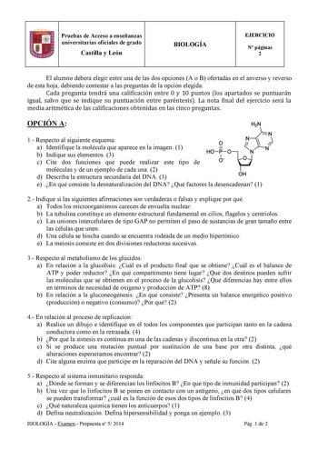 Pruebas de Acceso a enseñanzas universitarias oficiales de grado Castilla y León BIOLOGÍA EJERCICIO N páginas 2 El alumno deberá elegir entre una de las dos opciones A o B ofertadas en el anverso y reverso de esta hoja debiendo contestar a las preguntas de la opción elegida Cada pregunta tendrá una calificación entre 0 y 10 puntos los apartados se puntuarán igual salvo que se indique su puntuación entre paréntesis La nota final del ejercicio será la media aritmética de las calificaciones obteni…