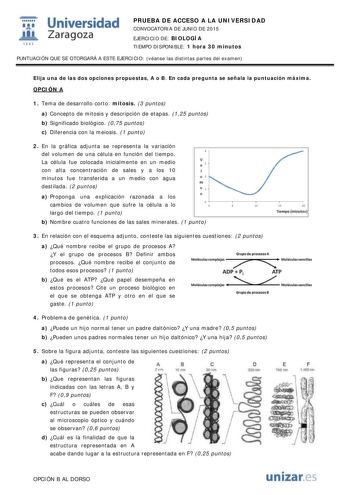 t Universidad fil Zaragoza 1S42 PRUEBA DE ACCESO A LA UNIVERSIDAD CONVOCATORIA DE JUNIO DE 2015 EJERCICIO DE BIOLOGÍA TIEMPO DISPONIBLE 1 hora 30 minutos PUNTUACIÓN QUE SE OTORGARÁ A ESTE EJERCICIO véanse las distintas partes del examen Elija una de las dos opciones propuestas A o B En cada pregunta se señala la puntuación máxima OPCIÓN A 1 Tema de desarrollo corto mitosis 3 puntos a Concepto de mitosis y descripción de etapas 125 puntos b Significado biológico 075 puntos c Diferencia con la me…