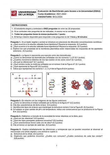 ifil UNIVERSIDAD 1 Evaluación de Bachillerato para Curso Académico 20212022 Acceso a la Universidad EBAU l DE LA RIOJA  ASIGNATURA BIOLOGÍA INSTRUCCIONES 1 El estudiante elegirá y contestará a DIEZ preguntas de entre las 20 propuestas 2 Si se contestan más preguntas de las indicadas el exceso no se corregirá 3 Todas las preguntas tienen la misma puntuación 1 punto 4 El tiempo máximo disponible para responder a las preguntas es de 1 hora y 30 minutos Pregunta 1 Si un tejido vegetal o animal se i…