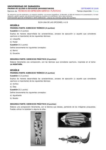 Examen de Técnicas de Expresión Gráfico Plástica (selectividad de 2008)