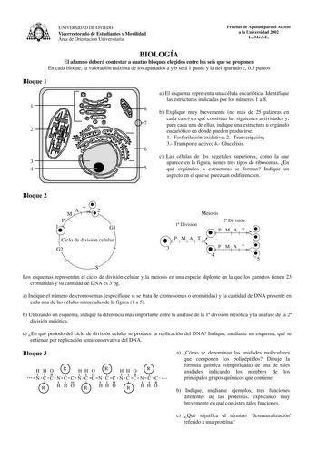 UNIVERSIDAD DE OVIEDO Vicerrectorado de Estudiantes y Movilidad Área de Orientación Universitaria Pruebas de Aptitud para el Acceso a la Universidad 2002 LOGSE BIOLOGÍA El alumno deberá contestar a cuatro bloques elegidos entre los seis que se proponen En cada bloque la valoración máxima de los apartados a y b será 1 punto y la del apartado c 05 puntos Bloque 1 1 2 3 4 a El esquema representa una célula eucariótica Identifique las estructuras indicadas por los números 1 a 8 8 b Explique muy bre…