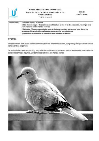 Examen de Dibujo Artístico II (PEvAU de 2017)