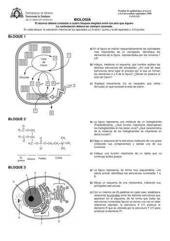 UNIVERSIDAD DE VIEDO Vicerrectorado de Estudiantes ÁREA DE ORIENTACIÓN UNIVERSITARIA BIOLOGÍA Pruebas de aptitud para el acceso a la Universidad septiembre 1998 LOGSE El alumno deberá contestar a cuatro bloques elegidos entre los seis que siguen La contestación deberá ser siempre razonada En cada bloque la valoración máxima de los apartados a y b será 1 punto y la del apartado c 05 puntos BLOQUE 1 JIJIJ   r7 1 1 J 11 a En la figura se indican esquemáticamente las actividades mas importantes de …