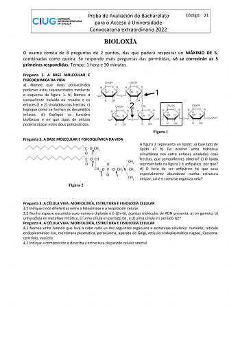 Proba de Avaliación do Bacharelato para o Acceso á Universidade Convocatoria extraordinaria 2022 Código 21 BIOLOXÍA O exame consta de 8 preguntas de 2 puntos das que poderá respostar un MÁXIMO DE 5 combinadas como queira Se responde mais preguntas das permitidas só se correxirán as 5 primeiras respondidas Tempo 1 hora e 30 minutos Pregunta 1 A BASE MOLECULAR E FISICOQUÍMICA DA VIDA a Nomee que dous polisacáridos poderían estar representados mediante o esquema da figura 1 b Nomee o compoñente in…