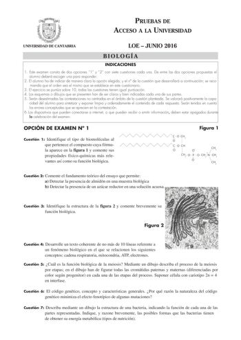 PRUEBAS DE ACCESO A LA UNIVERSIDAD UNIVERSIDAD DE CANTABRIA LOE  JUNIO 2016 BIOLOGÍA INDICACIONES 1 Este examen consta de dos opciones 1 y 2 con siete cuestiones cada una De entre las dos opciones propuestas el alumno deberá escoger una para responder 2 El alumno ha de indicar de manera clara la opción elegida y el n de la cuestión que desarrollará a continuación se recomienda que el orden sea el mismo que se establece en este cuestionario 3 El ejercicio se puntúa sobre 10 todas las cuestiones …