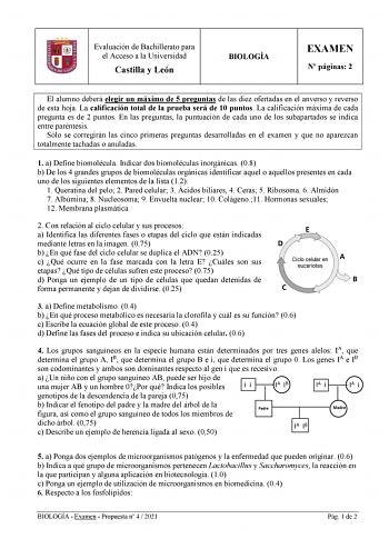 Evaluación de Bachillerato para el Acceso a la Universidad Castilla y León BIOLOGÍA EXAMEN N páginas 2 El alumno deberá elegir un máximo de 5 preguntas de las diez ofertadas en el anverso y reverso de esta hoja La calificación total de la prueba será de 10 puntos La calificación máxima de cada pregunta es de 2 puntos En las preguntas la puntuación de cada uno de los subapartados se indica entre paréntesis Sólo se corregirán las cinco primeras preguntas desarrolladas en el examen y que no aparez…