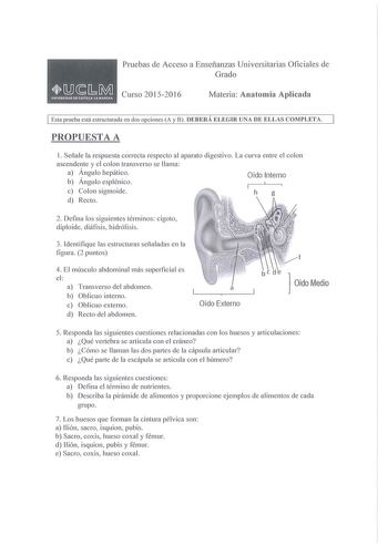 Pruebas de Acceso a Enseñanzas Universitarias Oficiales de Grado Curso 20152016 Materia Anatomía Aplicada 1 Esta prueba está estructu rada en dos opciones A y 8 DEBERÁ ELEGIR UNA DE ELLAS COMPLETA PROPUESTA A 1 Señale la respuesta correcta respecto al aparato di gestivo La curva entre el co lon ascendente y el co lon transverso se ll ama a Ángulo hepático  Oído Interno b Ángulo esp léni co c Co lon sigmoide h d Recto 2 Defina los sigui entes términos cigoto diploide diáfisis hidróli sis 3 Ident…