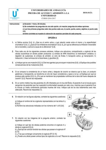 UNIVERSIDADES DE ANDALUCÍA PRUEBA DE ACCESO Y ADMISIÓN A LA UNIVERSIDAD CURSO 20162017 BIOLOGÍA Instrucciones a Duración 1 hora y 30 minutos b Se contestarán las preguntas de una sola opción sin mezclar preguntas de ambas opciones c Las tres primeras preguntas valen dos puntos cada una la cuarta quinta sexta y séptima un punto cada una d Entre corchetes se muestra la valoración de aspectos parciales de cada pregunta OPCIÓN A 1 a Defina enzima 04 b Qué es el centro activo y qué relación existe e…