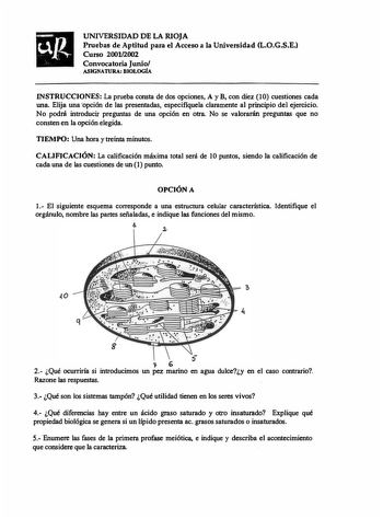 UNIVERSIDAD DE LA RIOJA Pruebas de Aptitud para el Acceso a la Universidad LOGSE Curso 20012002 Convocatoria Junio ASIGNATURA BIOLOGÍA INSTRUCCIONES La prueba consta de dos opciones A y B con diez 10 cuestiones cada una Elija una opción de las presentadas especifiquela claramente a principio de ejercicio No podrá introducir preguntas de una opción en otra No se valorarán preguntas que no consten en la opción elegida TIEMPO Una hora y treinta minutos CALIFICACIÓN La calificación máxima total ser…