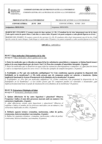 COMISSIÓ GESTORA DE LES PROVES DACCÉS A LA UNIVERSITAT COMISIÓN GESTORA DE LAS PRUEBAS DE ACCESO A LA UNIVERSIDAD PROVES DACCÉS A LA UNIVERSITAT CONVOCATRIA JUNY 2019 Assignatura BIOLOGIA PRUEBAS DE ACCESO A LA UNIVERSIDAD CONVOCATRIA JUNIO 2019 Asignatura BIOLOGÍA BAREM DE LEXAMEN Lexamen consta de dues opcions A i B i lestudiant ha de triar íntegrament una de les dues Cada opció consta de quatre blocs Cada bloc es valora sobre 10 punts i els punts assignats a cada qestió figuren en el text BA…