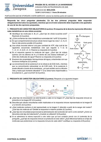 Biología – EvAU Aragón (2026)