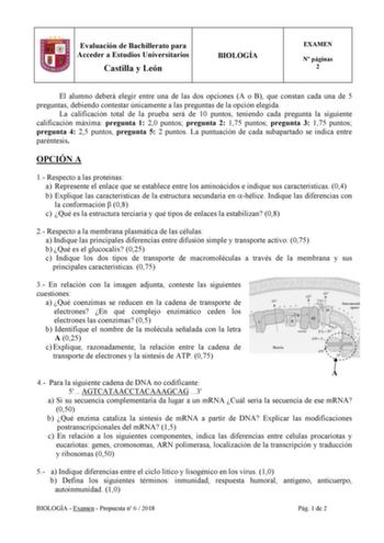 Evaluación de Bachillerato para Acceder a Estudios Universitarios Castilla y León BIOLOGÍA EXAMEN N páginas 2 El alumno deberá elegir entre una de las dos opciones A o B que constan cada una de 5 preguntas debiendo contestar únicamente a las preguntas de la opción elegida La calificación total de la prueba será de 10 puntos teniendo cada pregunta la siguiente calificación máxima pregunta 1 20 puntos pregunta 2 175 puntos pregunta 3 175 puntos pregunta 4 25 puntos pregunta 5 2 puntos La puntuaci…