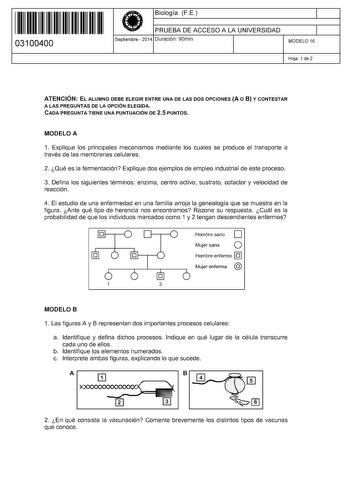 11 1111 1 111 11 11 11 11 11 03100400  Biología FE PRUEBA DE ACCESO A LA UNIVERSIDAD Septiembre  2014 Duración 90min 1 1 MODELO 16 Hoja 1 de 2 ATENCIÓN EL ALUMNO DEBE ELEGIR ENTRE UNA DE LAS DOS OPCIONES A O 8 Y CONTESTAR A LAS PREGUNTAS DE LA OPCIÓN ELEGIDA CADA PREGUNTA TIENE UNA PUNTUACIÓN DE 25 PUNTOS MODELO A 1 Explique los principales mecanismos mediante los cuales se produce el transporte a través de las membranas celulares 2 Qué es la fermentación Explique dos ejemplos de empleo industr…