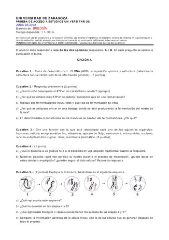 Examen de Biología (selectividad de 2008)